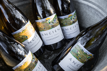 Ancien Spring Release Party 2025!