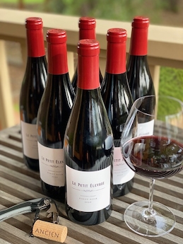 2022 Le Petit Elevage Pinot Noir - Sonoma Coast - 6 Pack