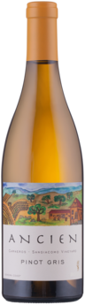 2019 Carneros Sangiacomo Vineyard Pinot Gris